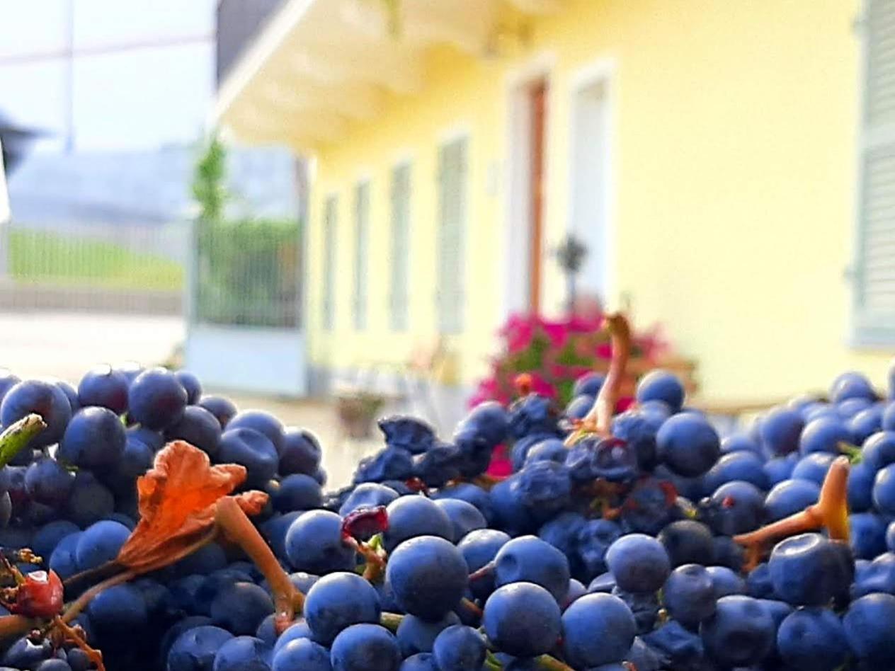 Ciabot Delle Aie - Barolo Lägenhet Exteriör bild