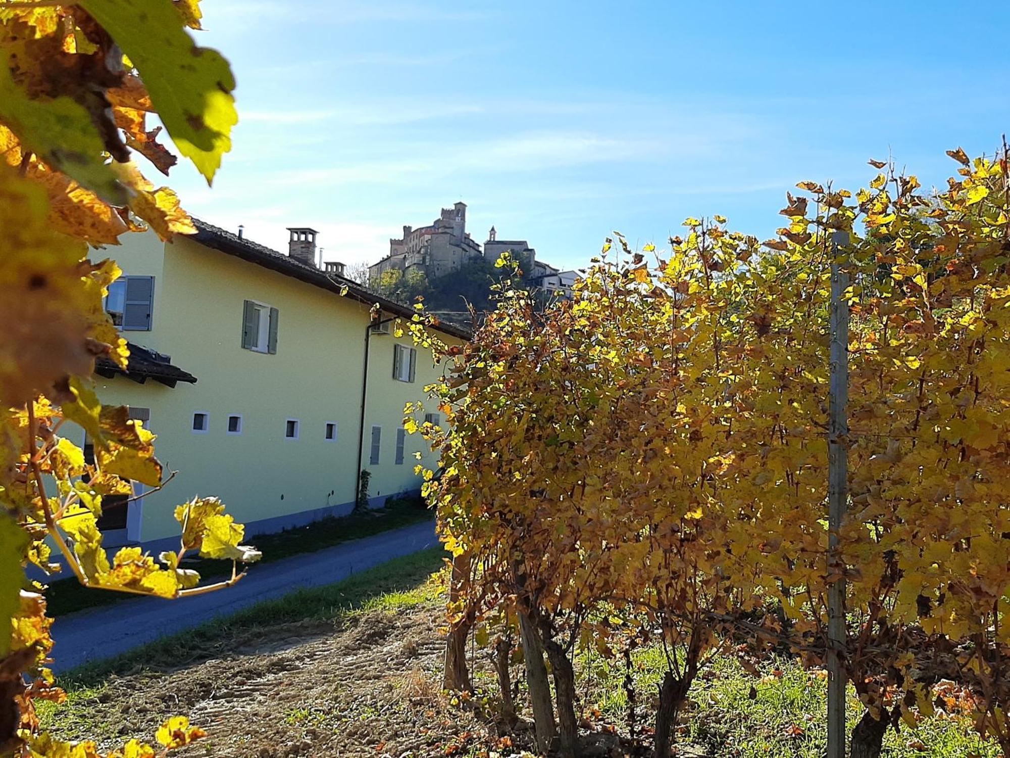 Ciabot Delle Aie - Barolo Lägenhet Exteriör bild