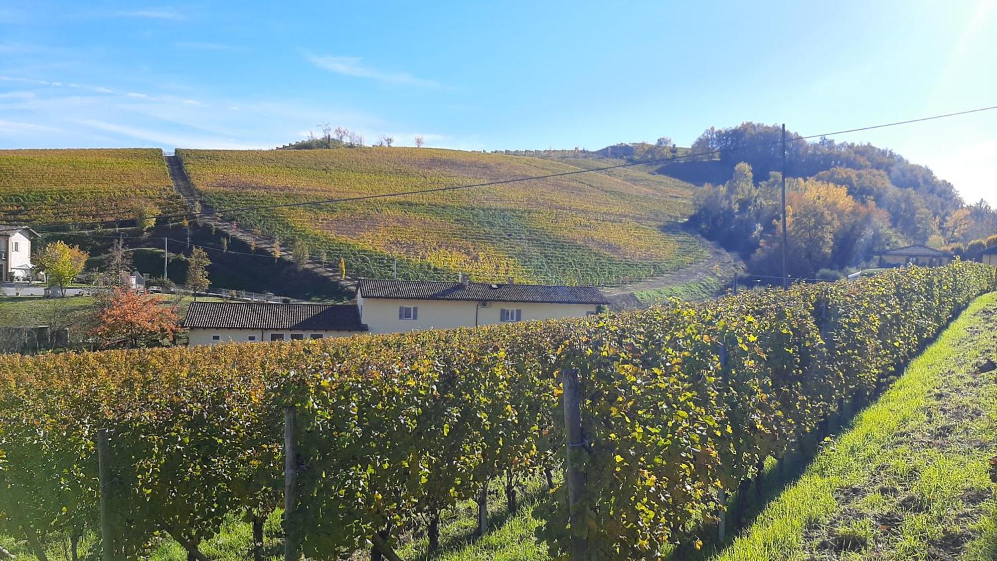 Ciabot Delle Aie - Barolo Lägenhet Exteriör bild